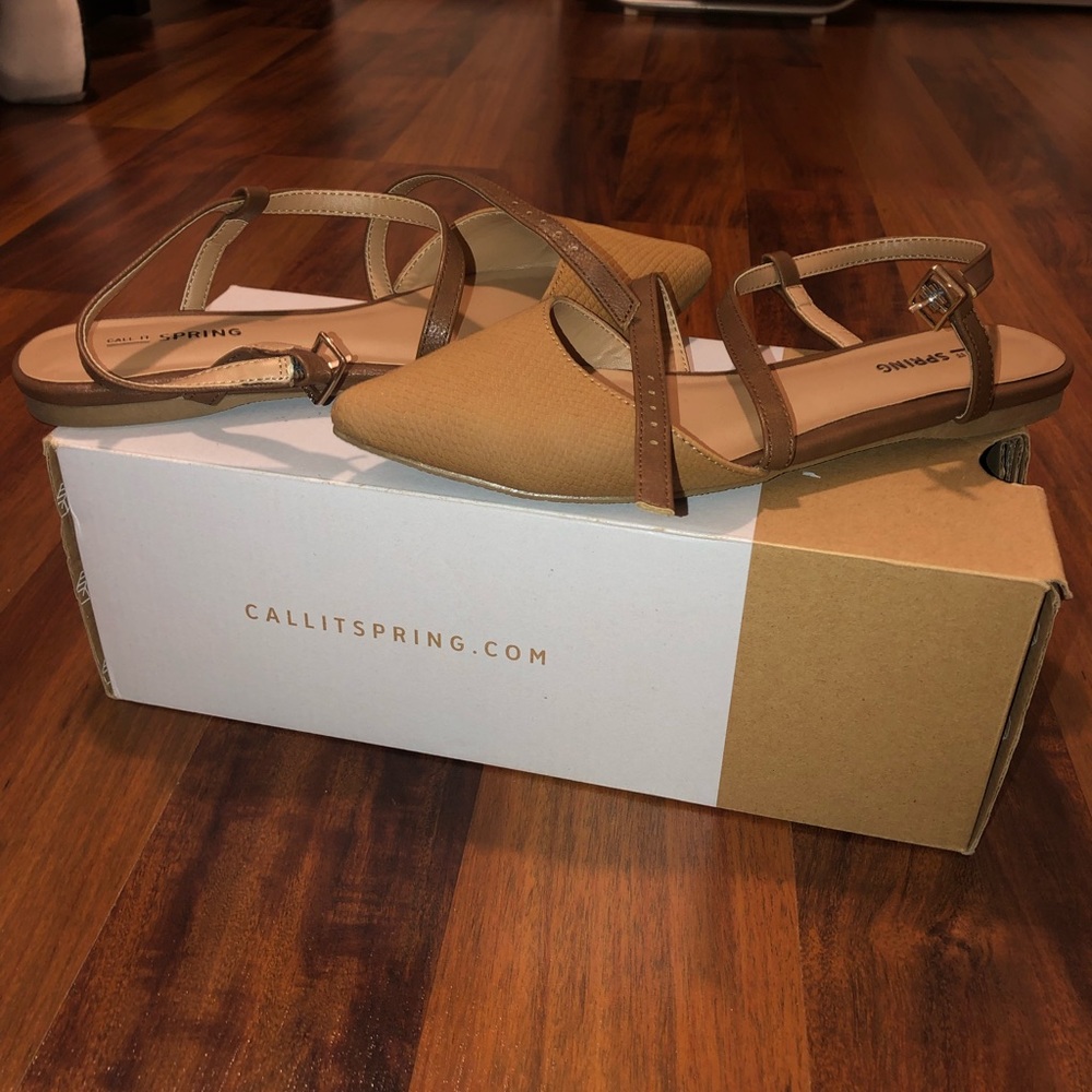 Call it spring, strap sandal, pointed toe